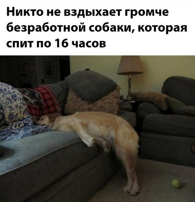 Пятничные тРРРидцать тРРРи!