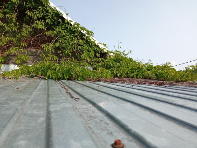 Вы кто такие? Я вас не звал.