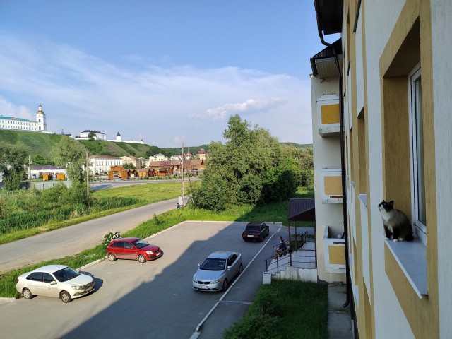 Котовторник