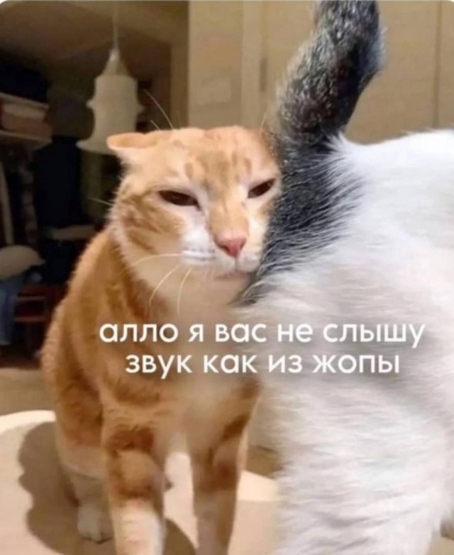 Веселое настроение в картинках (03.08.2025)