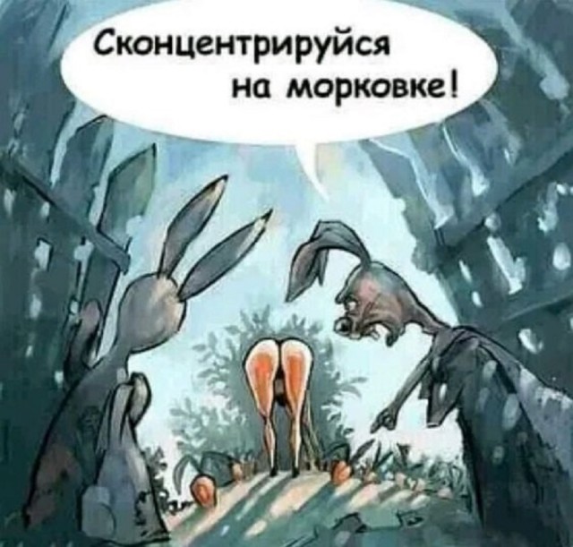 Так себе картинки 24.08.25