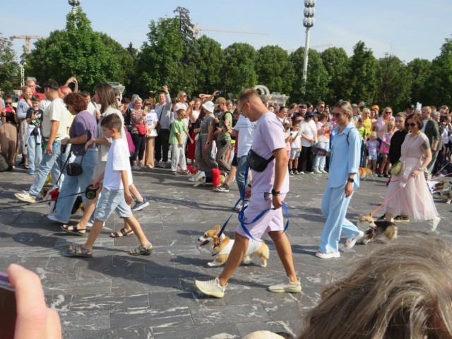 Парад корги в Москве на ВДНХ