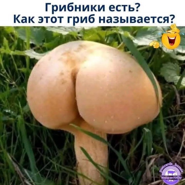 Маленькая пятница 1.10