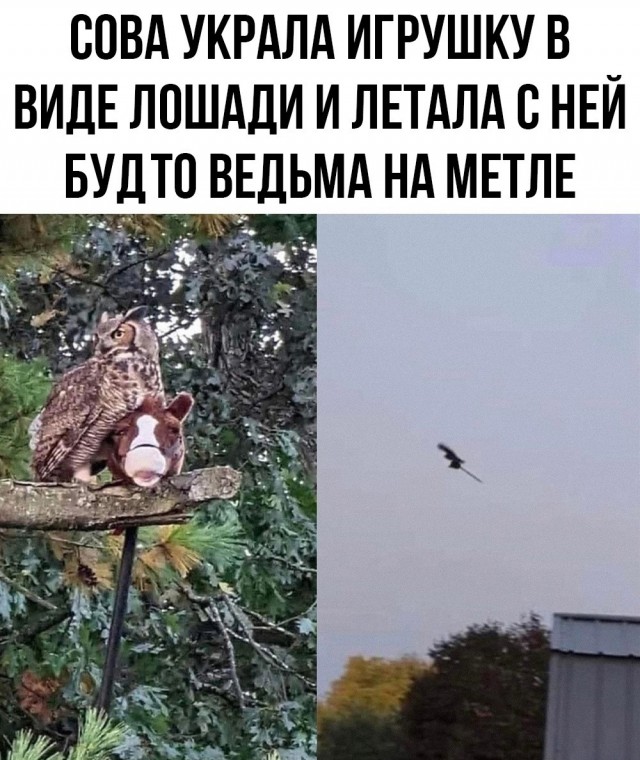 Осенние картинки