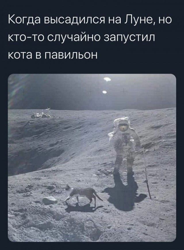 50-летние образцы лунного грунта удивили учёных