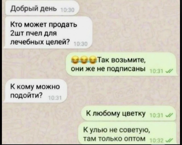 Юный ганкста решил отжать немного мёда у пчёл