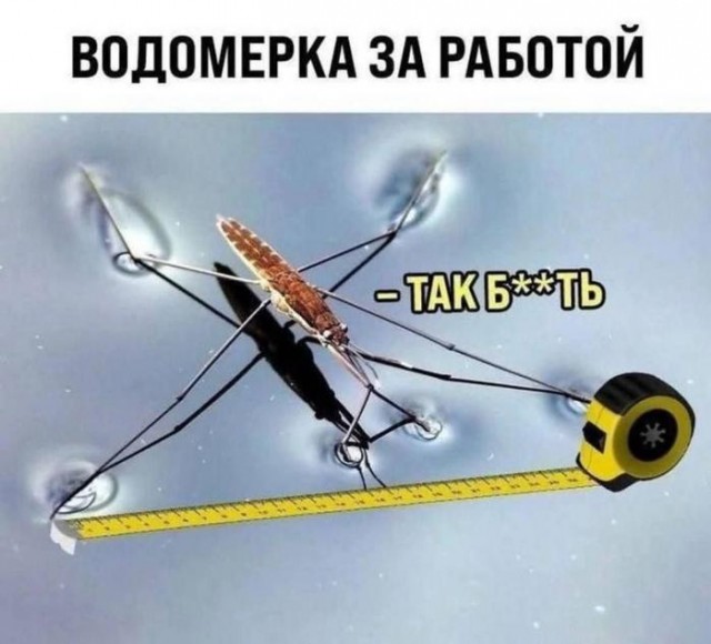 Картинки для деградации 82 (разной степени свежести)