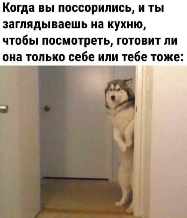Картинки разные