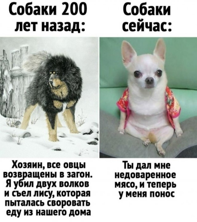 Веселые картинки в маленькую пятницу (03.12)