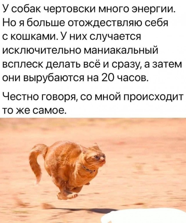 Картиночки, баянчики 12 декабря
