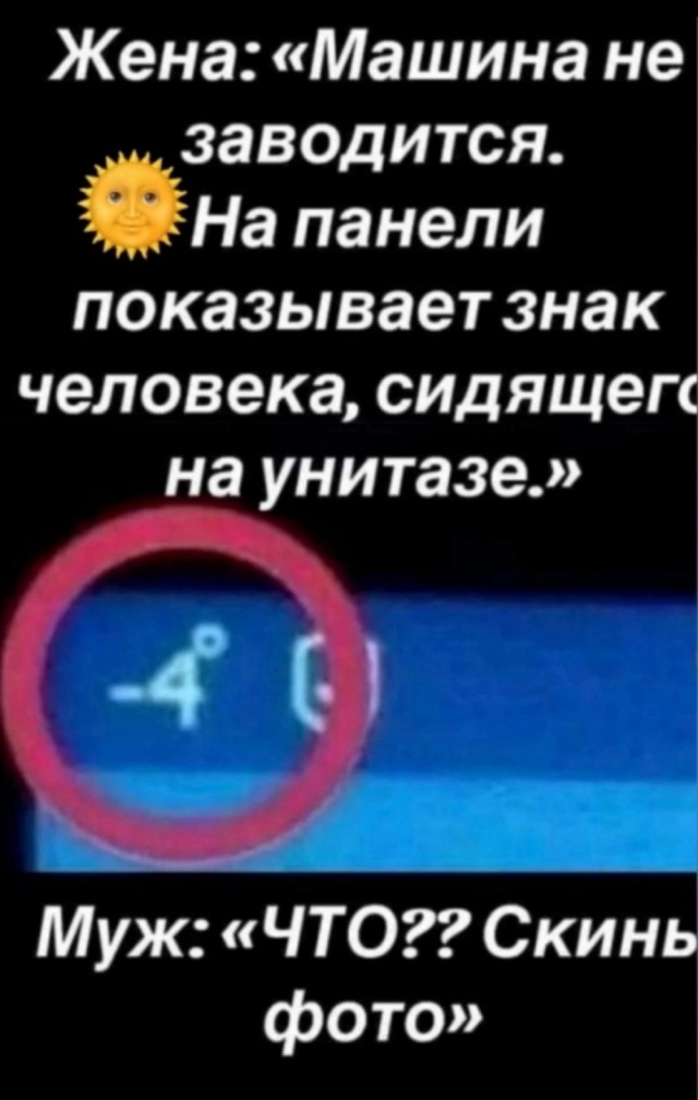 Веселых картинок вам в ленту