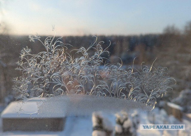 неожиданная инсталляция