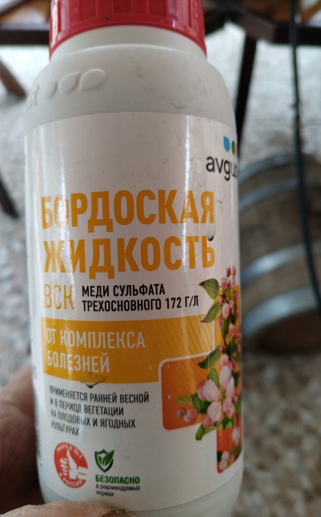Что с виноградом и можно ли его спасти.
