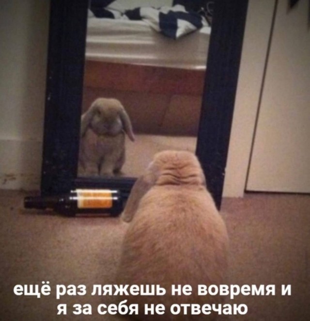 Для хорошего настроения ЧАСТЬ 2