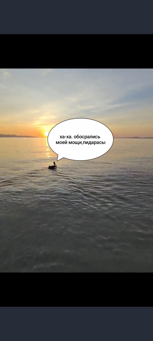 Помогли птичке