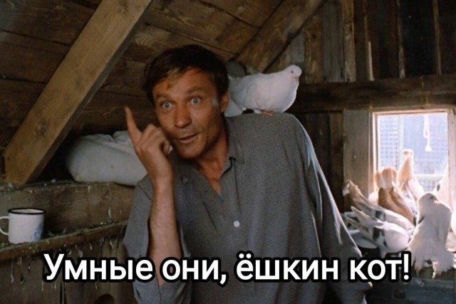 Купили игрушечных ворон, чтобы отпугивать голубей