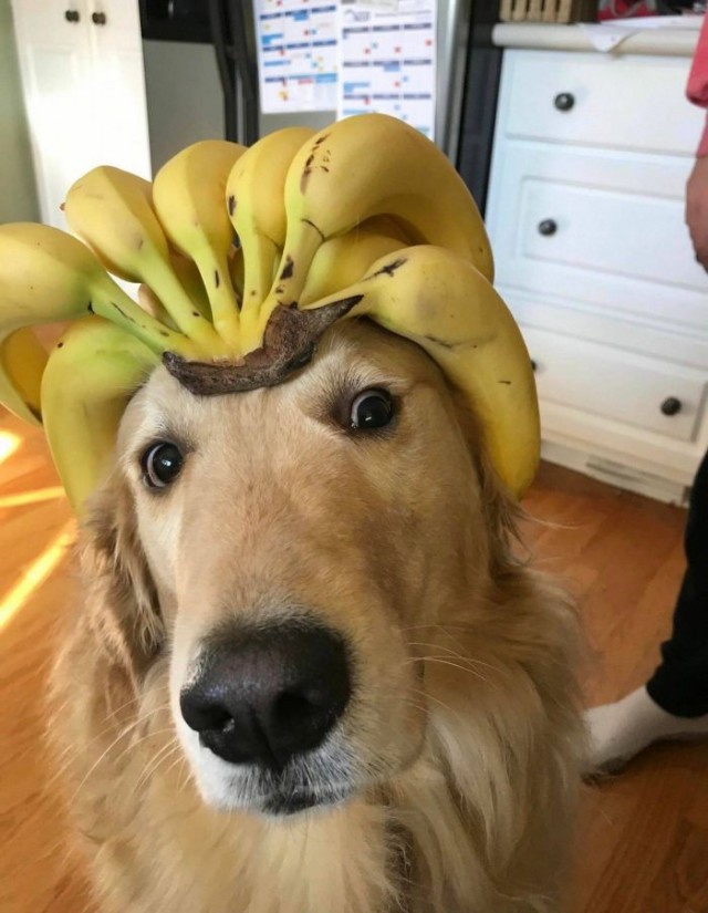 Картинки на среду
