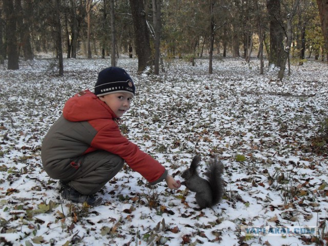 Замри!