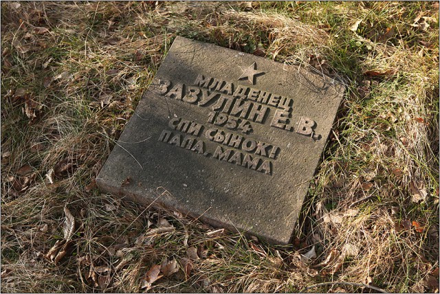 Брошенные и забытые