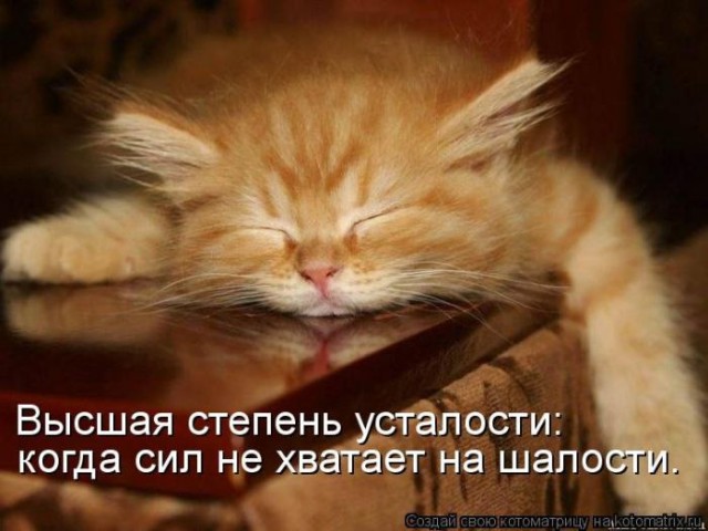 Комментарии из социальных сетей