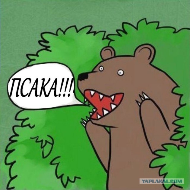 Джен Псаки нашла в Ростовской области горы