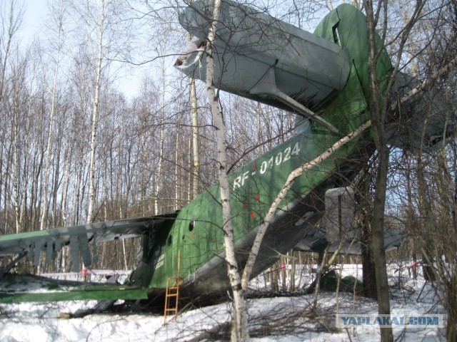 Вынужденная посадка АН-2 в г. Рыбинск