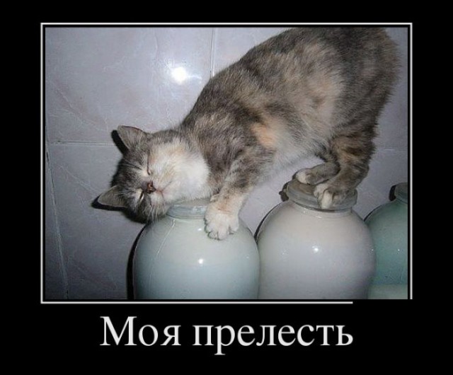 Так...солянка