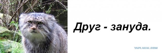Типы друзей, которые есть у каждого из нас.