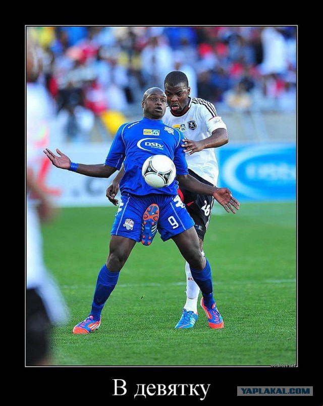 Спортивная  подборка