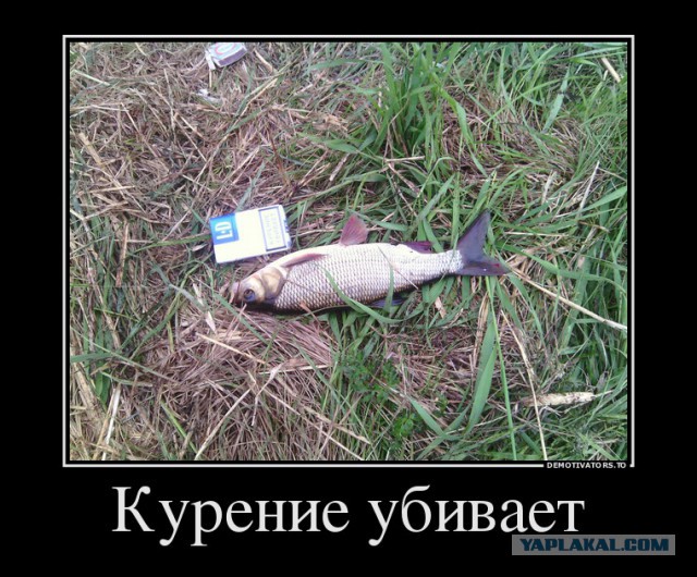 Подборка картинок из соцсетей