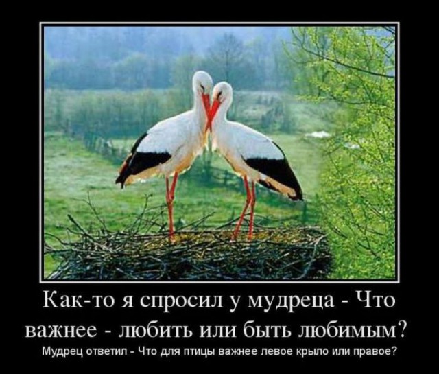 Порция демотиваторов