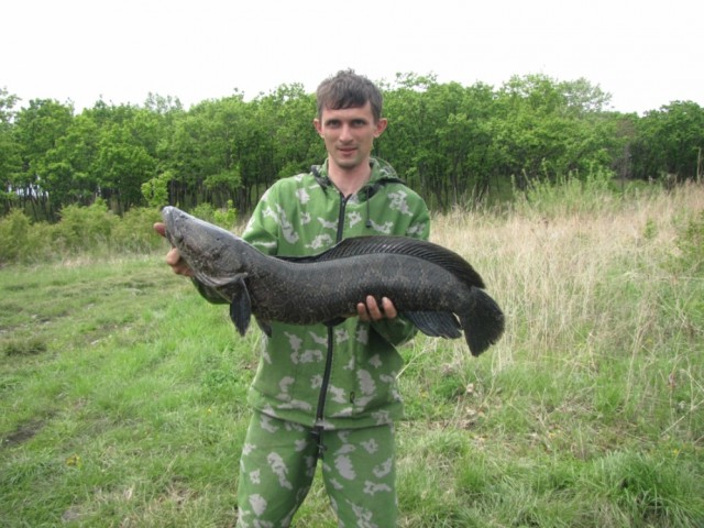 Всех С Днем Рыбака