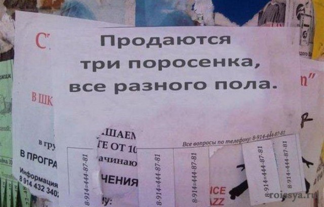 Смешные объявления и надписи
