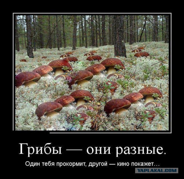 Демотиваторы на субботу
