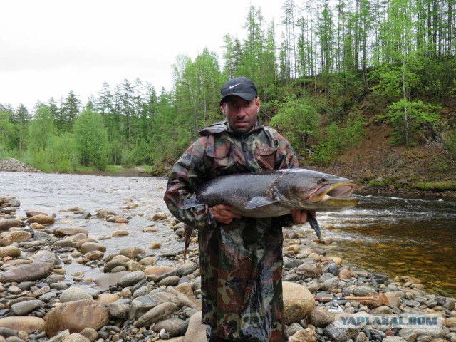 Рыбалка на реке Удыхын. Хабаровский край.