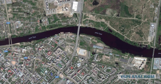 Ловил щуку - поймал карпа