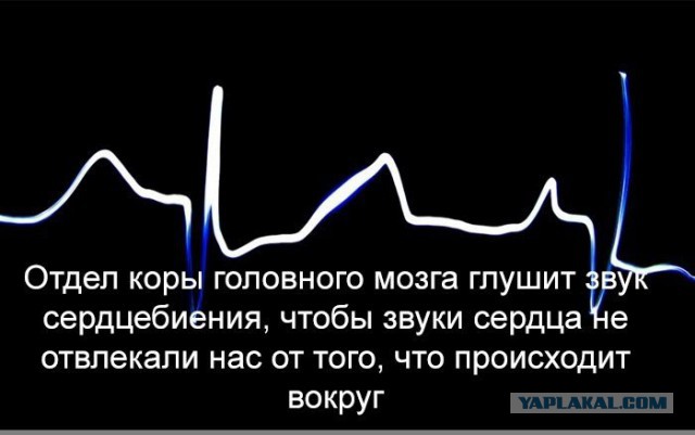 Интересные факты.