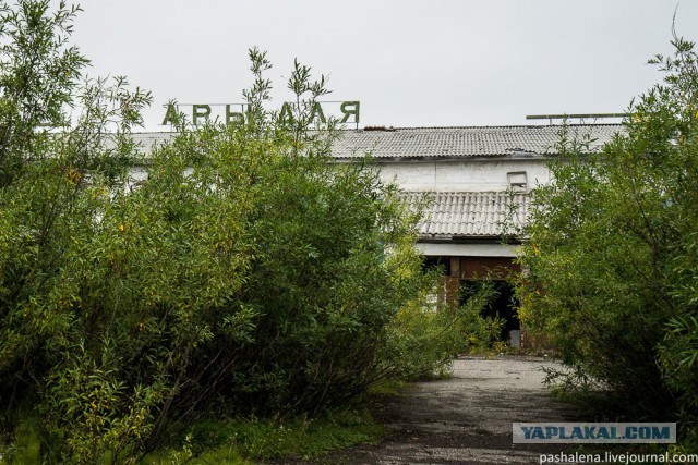 Золотое кольцо Воркуты