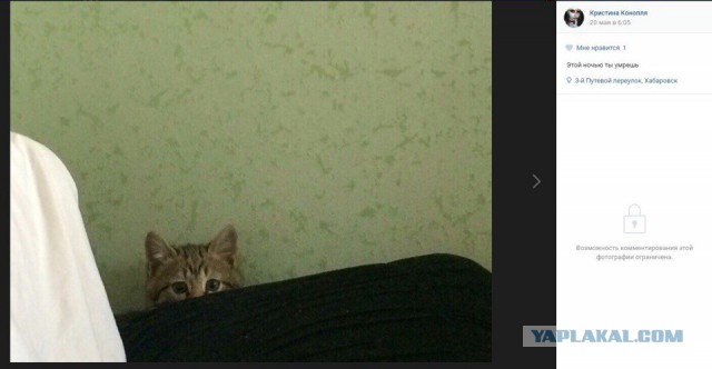 Живодерки из Хабаровска