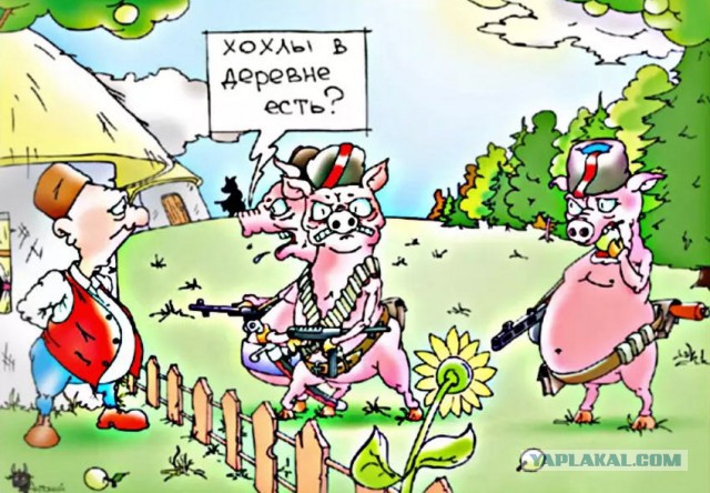 Украинцы отравились гигантским куском сала