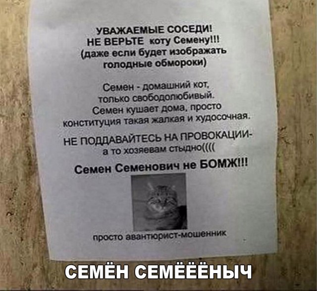 Картинки всякие для поднятия настроения