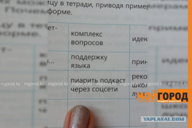 В Уральске родителей шокировали фразы "лайкать" и "пиарить" в учебниках по русскому языку