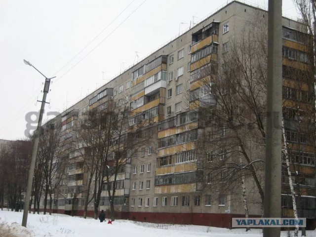 Тушь, пирожное и ламповый телевизор: «ленинградские» названия от советских времён до наших дней