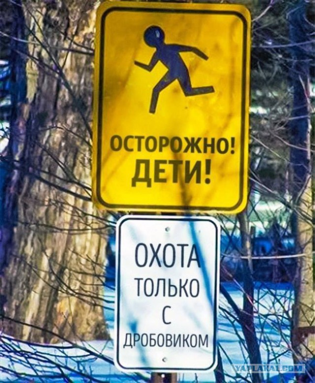 Подборка интересных и веселых картинок