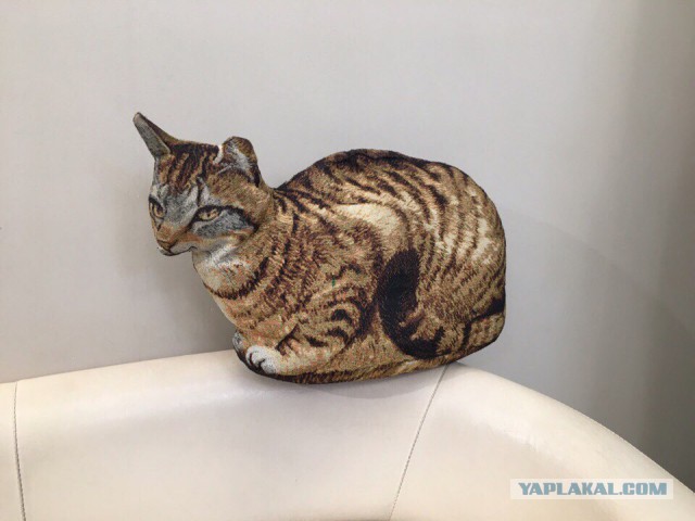 Запилю-ка я картинок