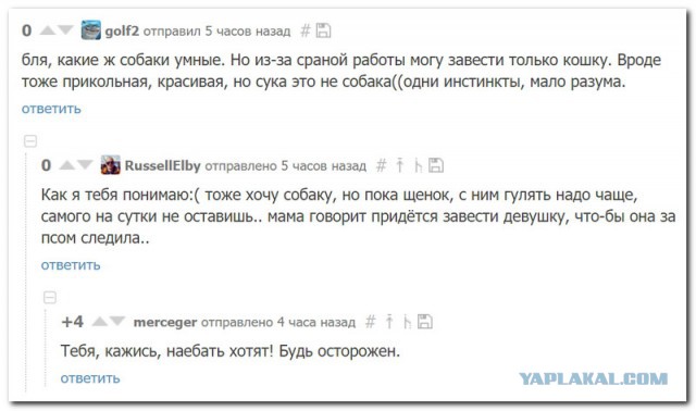 Смешные комментарии из социальных сетей 27.04.2018