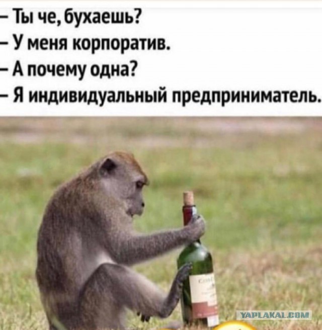 Смешные комментарии из социальных сетей 28.12.2018