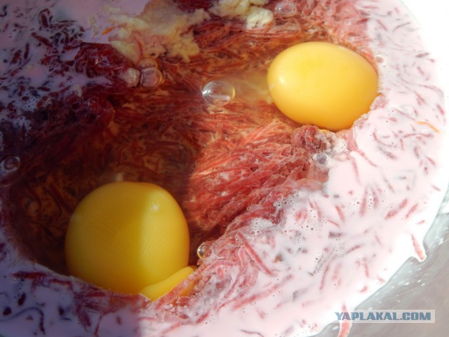 Селедка под шубой - 2019