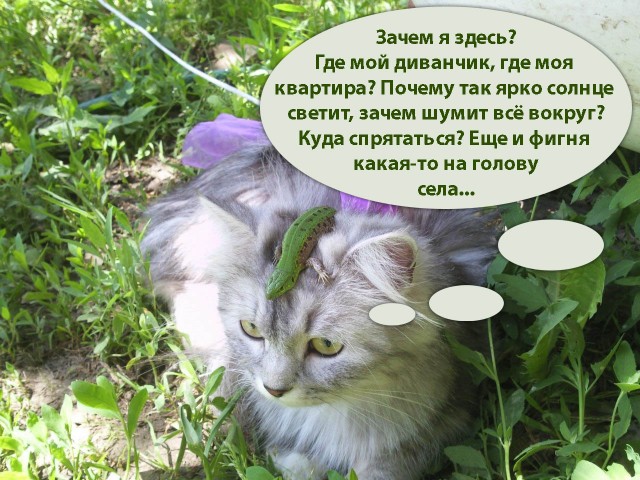 Худший охотник в мире