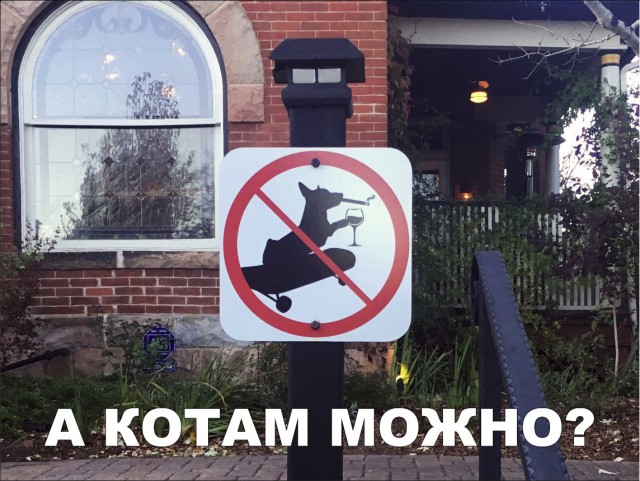 Нестандартный юмор